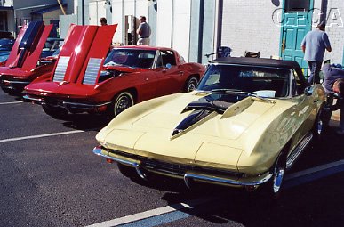 017.Stinger hoods---there were LOTS.JPG