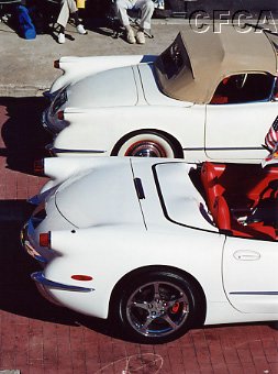 023.Now there's a couple of great behinds.JPG