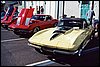 017.Stinger hoods---there were LOTS.JPG