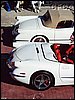023.Now there's a couple of great behinds.JPG