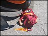 IMG_0302.JPG