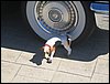 IMG_0304.JPG