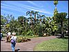 IMG_0244.JPG
