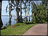 IMG_0245.JPG