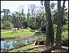 IMG_0247.JPG
