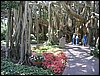 IMG_0251.JPG