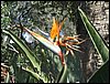 IMG_0253.JPG