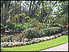 IMG_0256.JPG