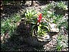 IMG_0259.JPG