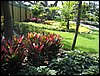 IMG_0260.JPG