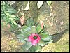 IMG_0262.JPG