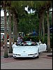 DSCN0287.jpg