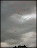 DSCN0294.jpg