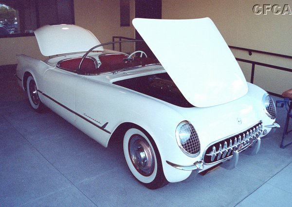 006.This old girl was older.JPG