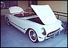 006.This old girl was older.JPG