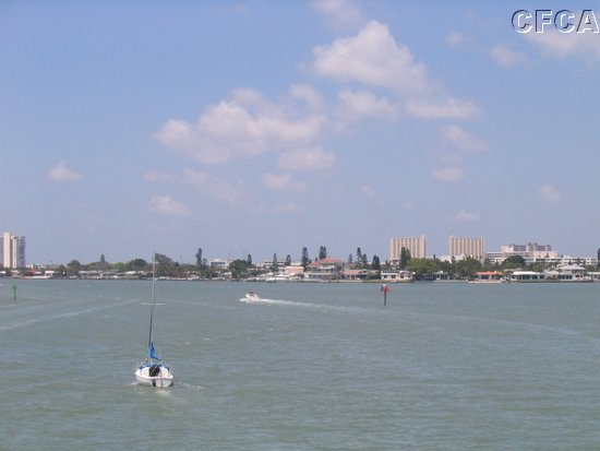 We saw dolphins and manatees. No, really!.jpg