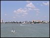 We saw dolphins and manatees. No, really!.jpg