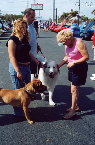 023.Arlene, the true animal lover, makes a friend.JPG