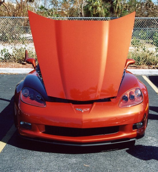 034.A simply awesome color.JPG