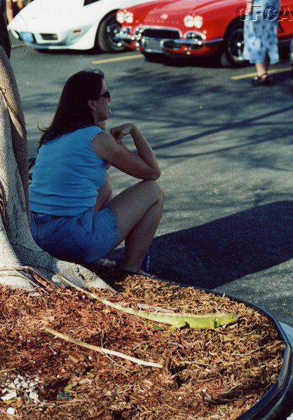041.A good Corvette show brings out all kinds of spectators.JPG