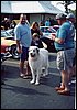 022.Not your typical pup, this big guy was a real hit with the crowd.JPG