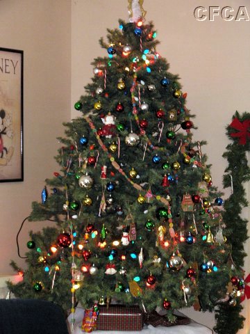 32 A beautiful tree graces the room.JPG