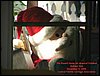 01 Holiday Visit.JPG