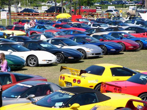Plenty of Corvette Supporters.jpg