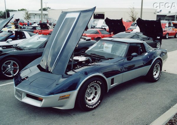013.A rare and beautiful Silver Blue-Dark Blue '82.JPG