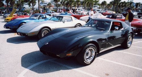 003.As well as lots of C3 Sharks.JPG