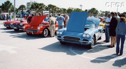 006.The C1 generation was very well represented.JPG