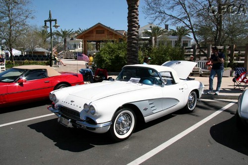 021.A very nice Ermine White '61.jpg