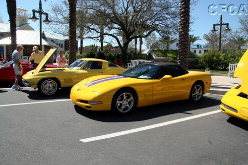 033.Well, except for these screaming yellow babies.jpg