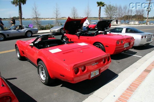 047.A rather interesting '81 C3 convertible.jpg