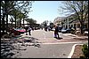 010.Corvettes everywhere.jpg