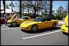 033.Well, except for these screaming yellow babies.jpg