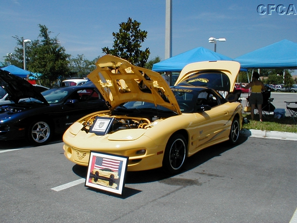 03.A Firebird with WOW factor.jpg