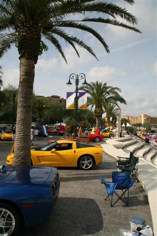 IMG_2815.jpg