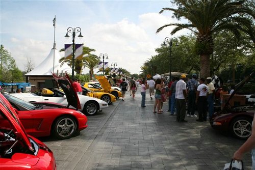 IMG_2824.jpg